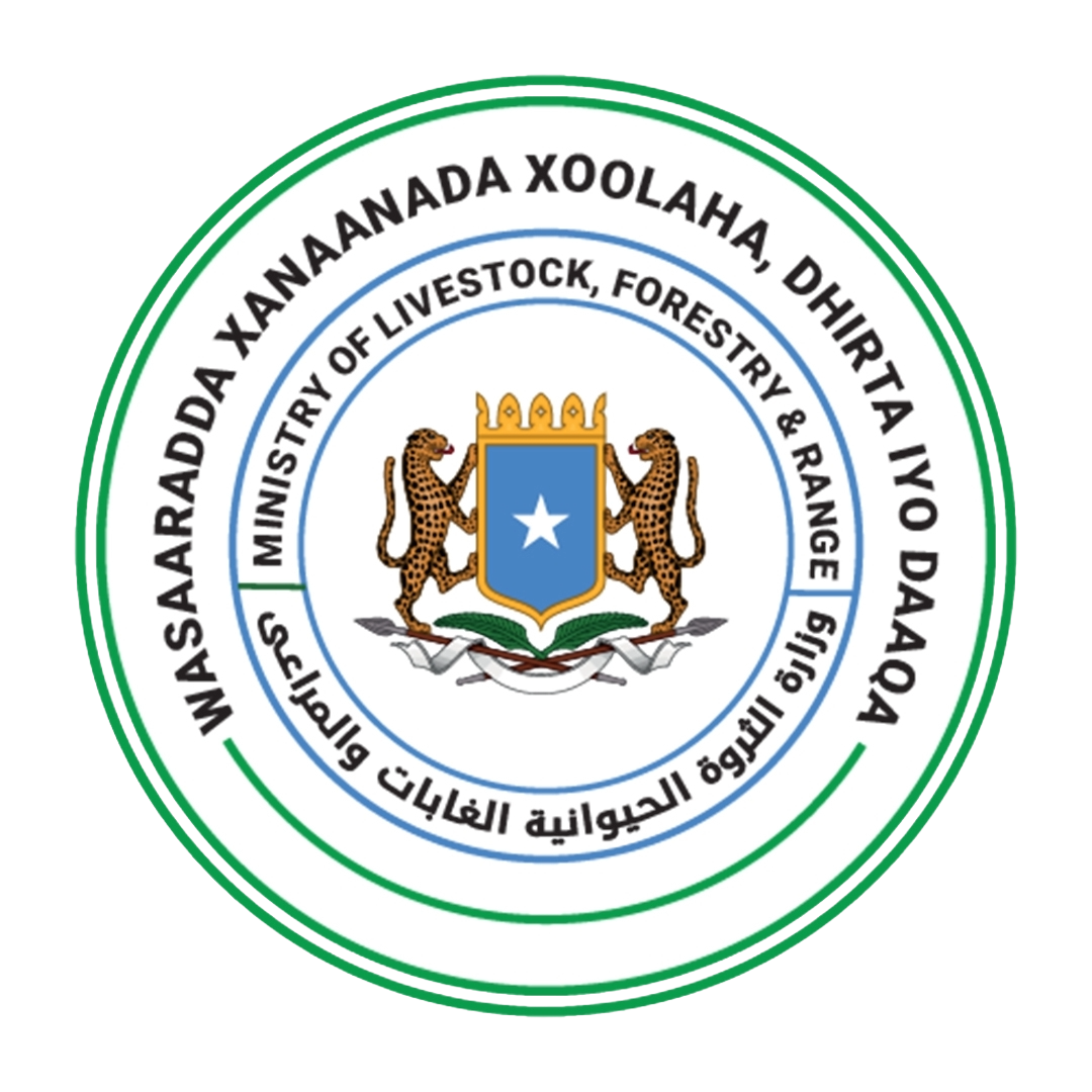 SWS MoLFR Logo